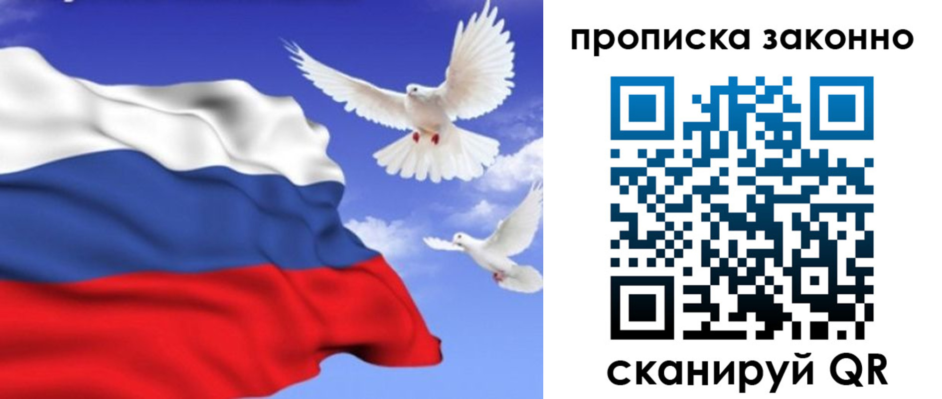 прописка в Александрове