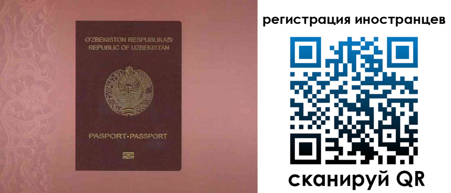 временная регистрация госуслуги в Александрове